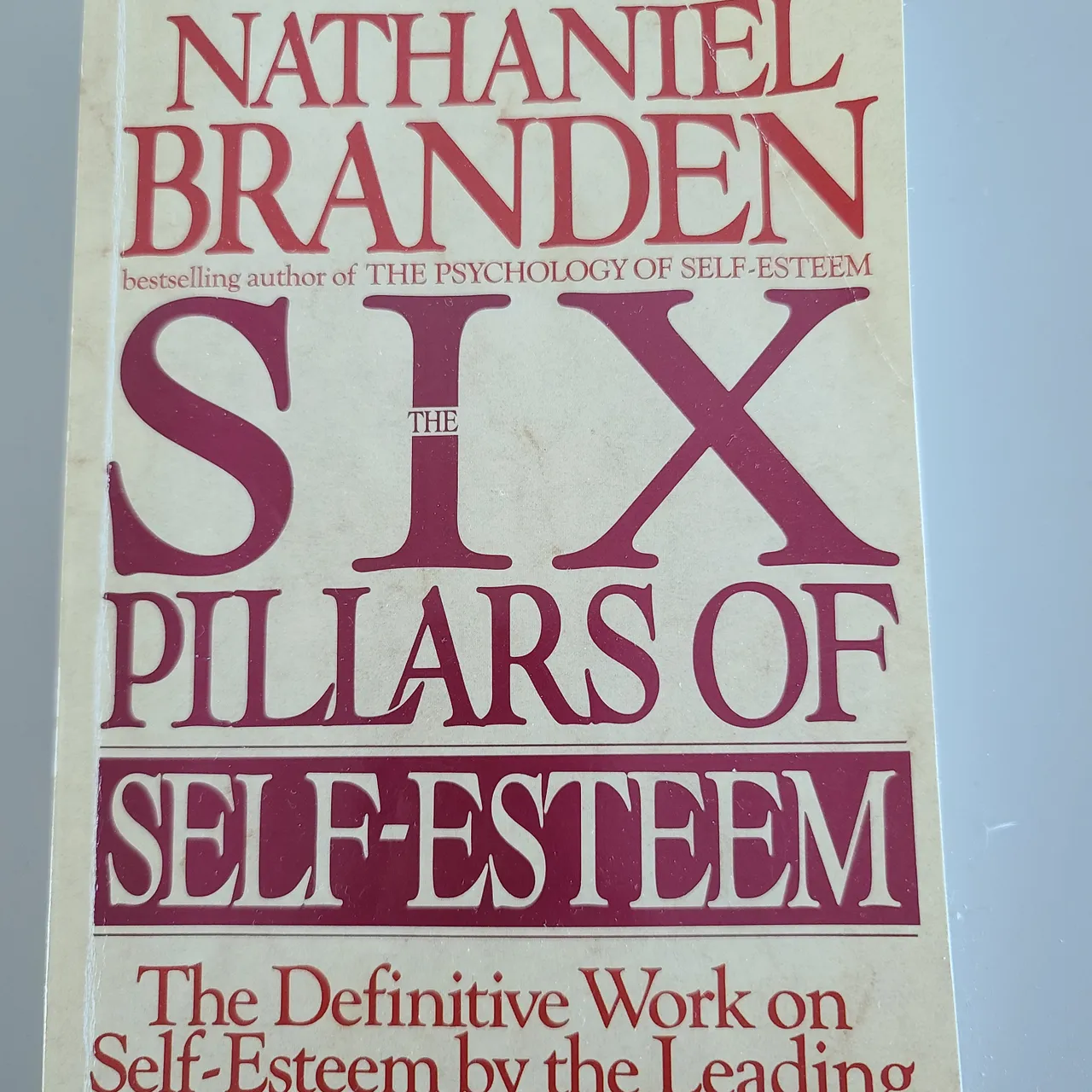 The Six Pillars of Self Esteem photo 1
