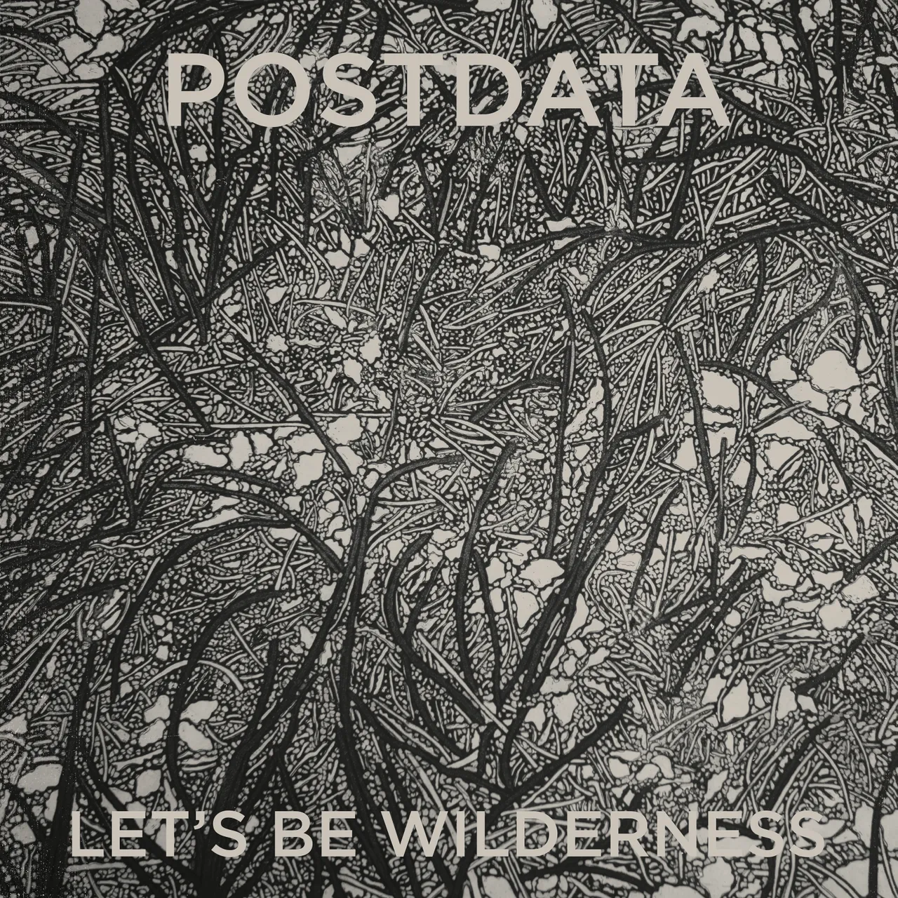Postdata - "Let's Be Wilderness" Limited Edition Cream Vinyl photo 1