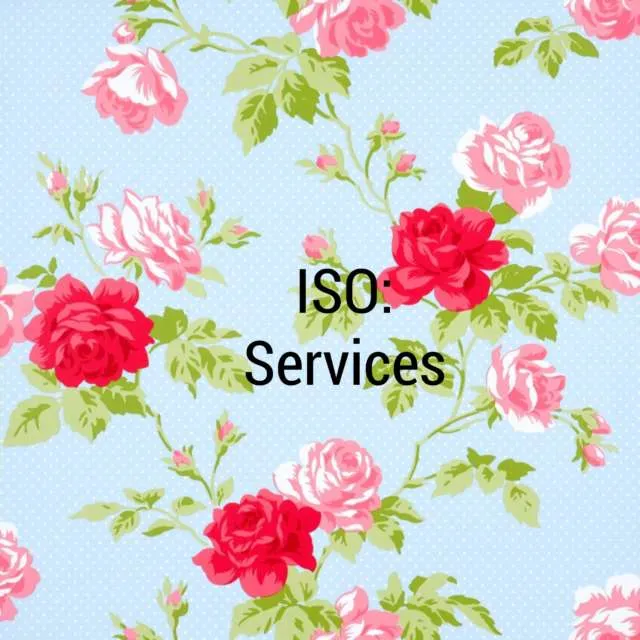 ISO Services photo 1