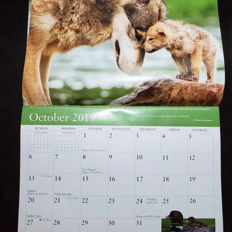 Free 2019 wildlife Calendar photo 4