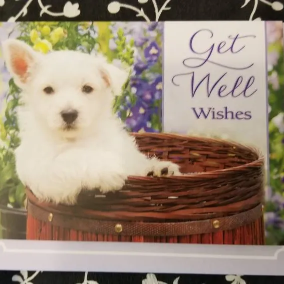 Get Well Cards photo 1