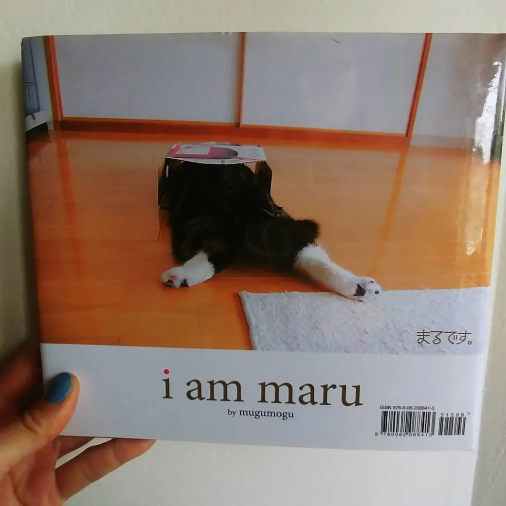 I Am Maru - The Book photo 3