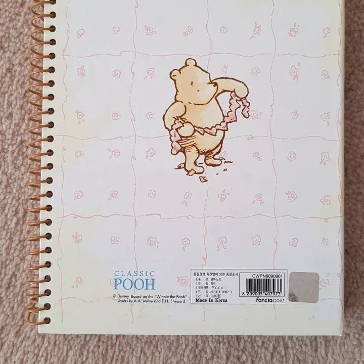 Pooh Diary/ Date Book photo 8