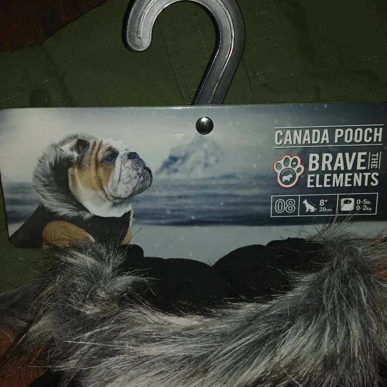 Doggie Jacket Canada Pouch photo 4