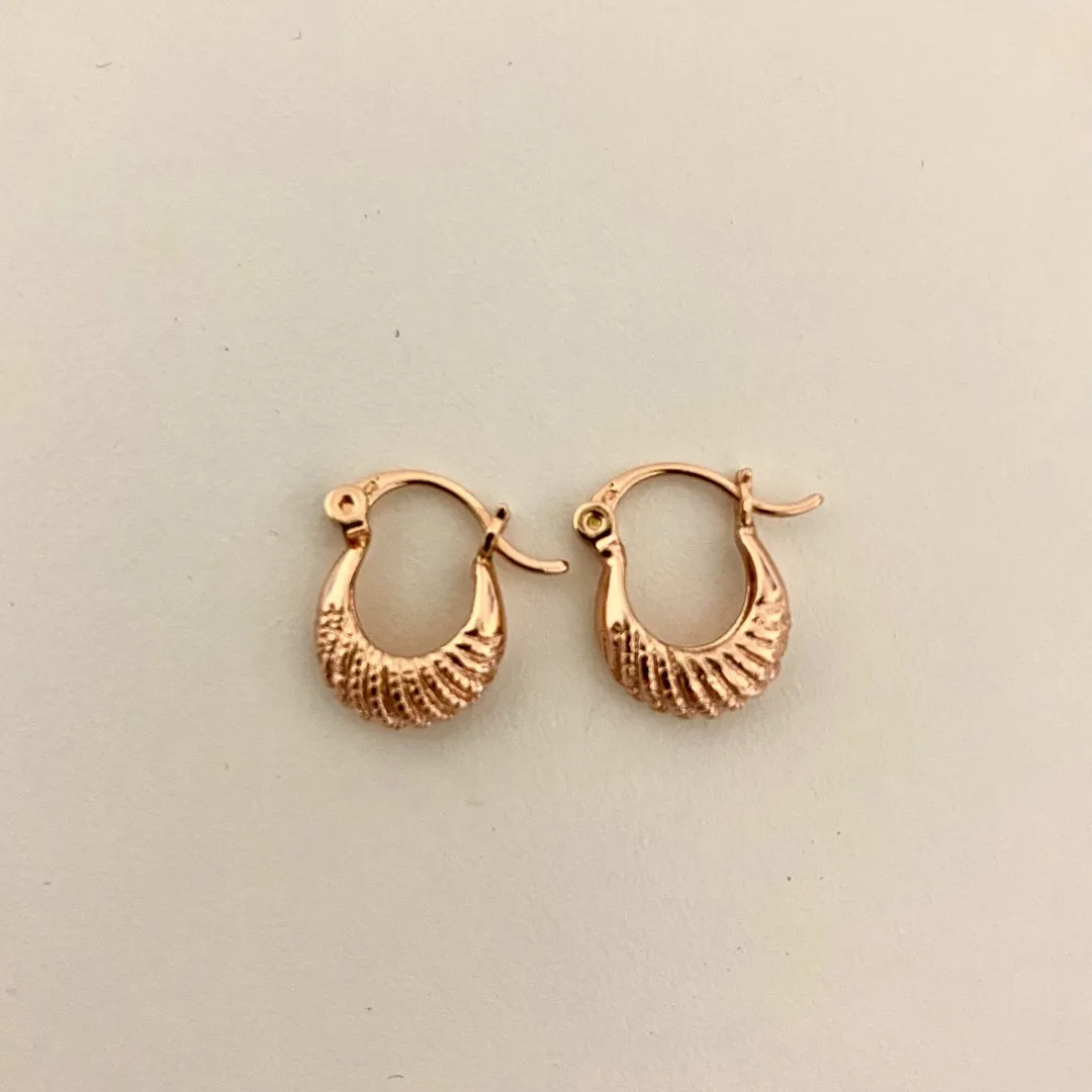 Rose Gold Hoops photo 1