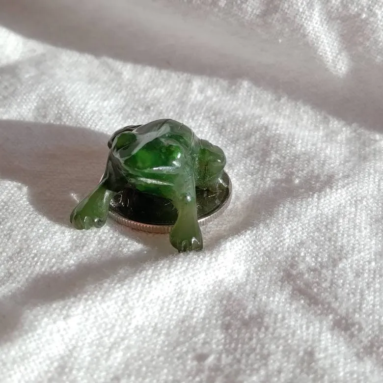 Jade Frog photo 1