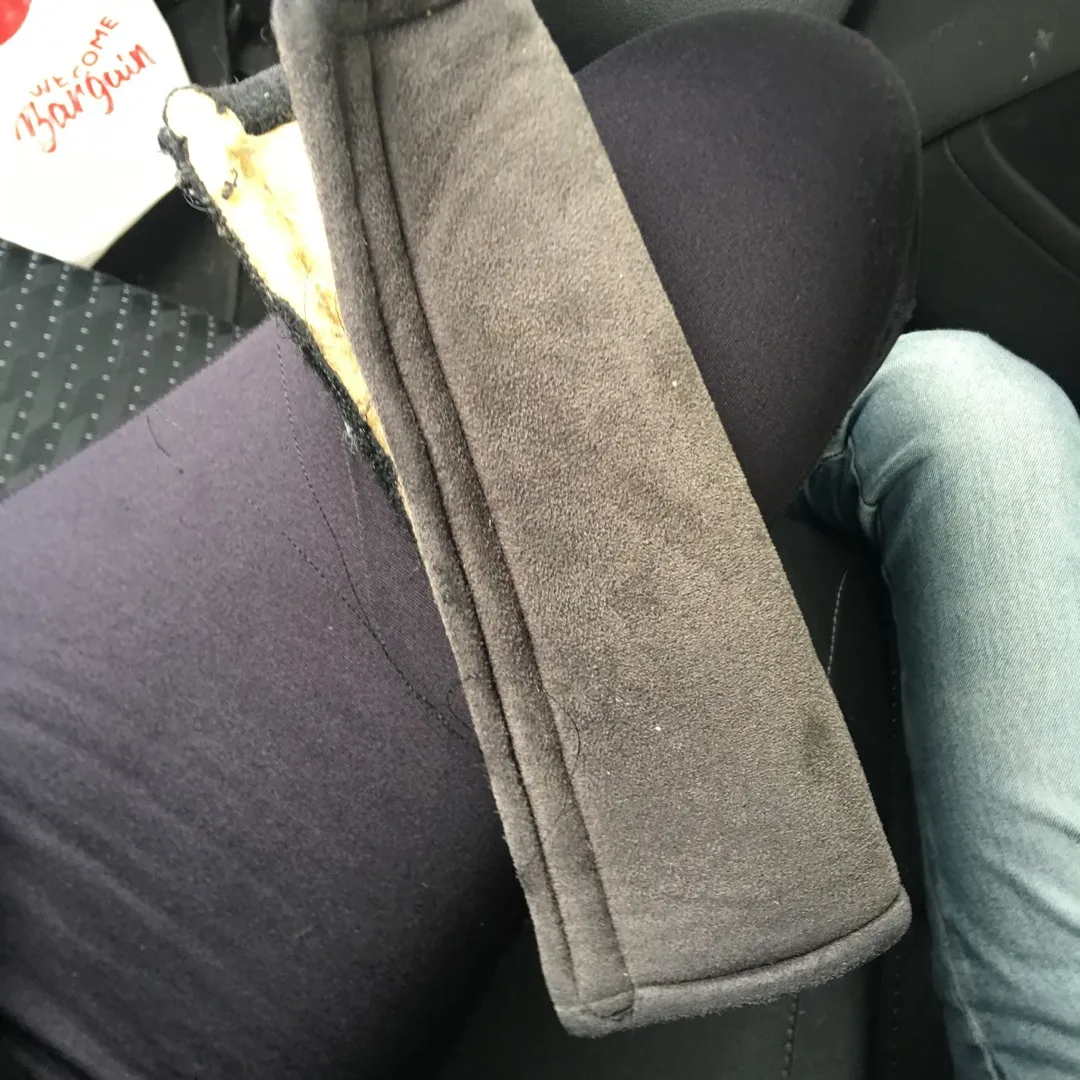 Car Seatbelt Covet photo 1