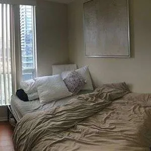SUMMER SUBLET IN A HEART OF DOWNTOWN TORONTO! photo 3
