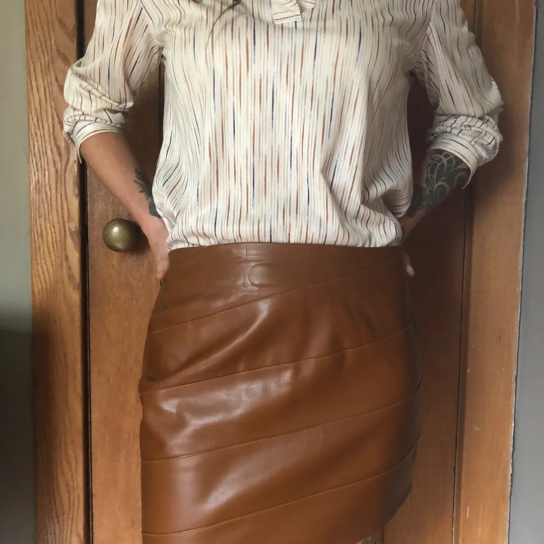 Vintage Blouse & Brown Skirt photo 1