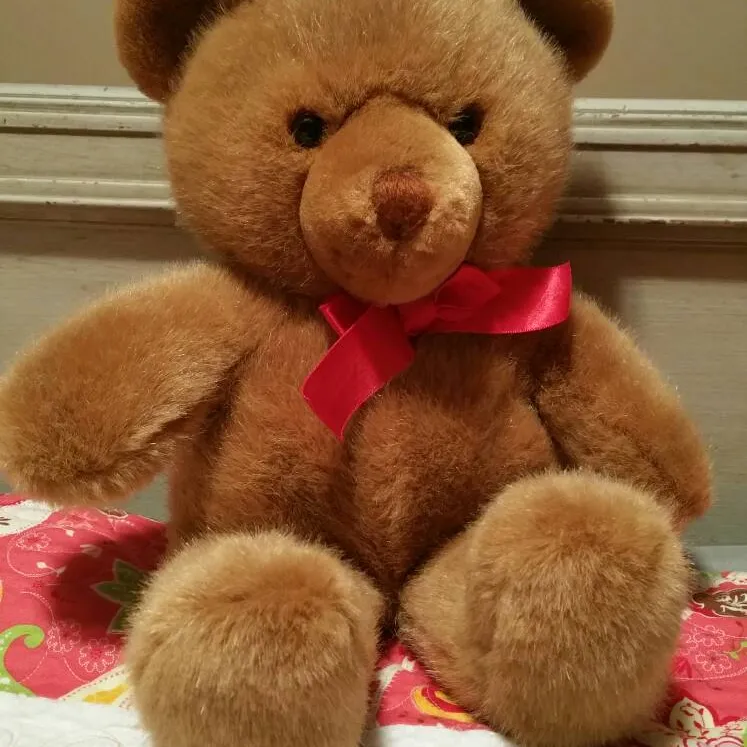 Teddy Bear photo 4