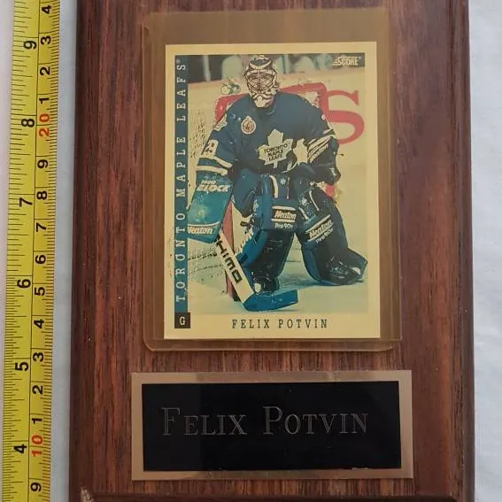 Toronto Maple Leaf Card on plaque - Felix Potvin photo 1