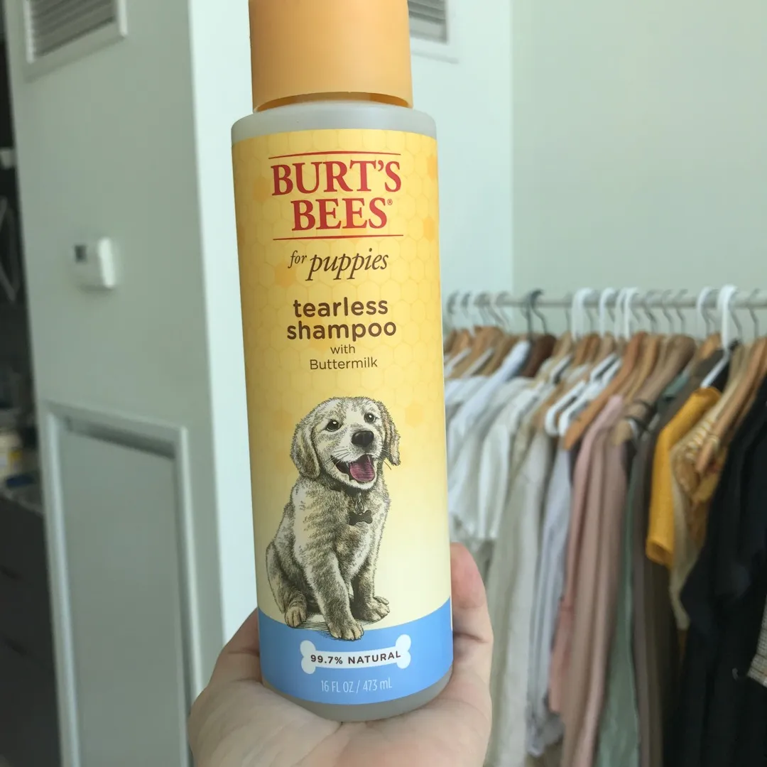 Burt’s Bees Puppy Shampoo photo 1