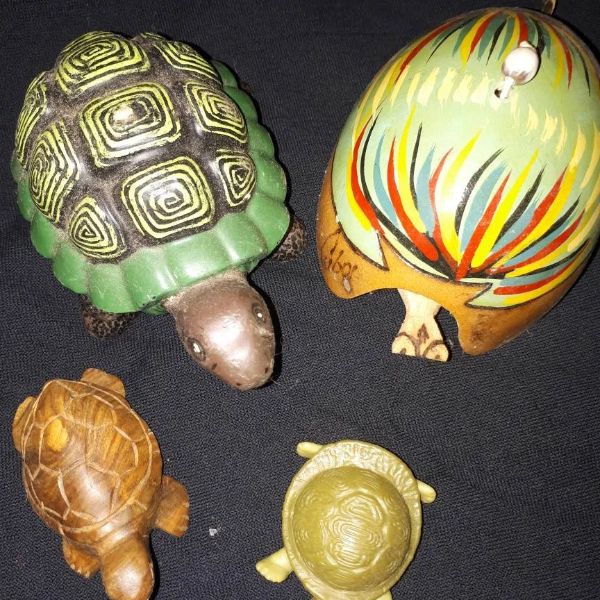 Turtle Collection photo 5