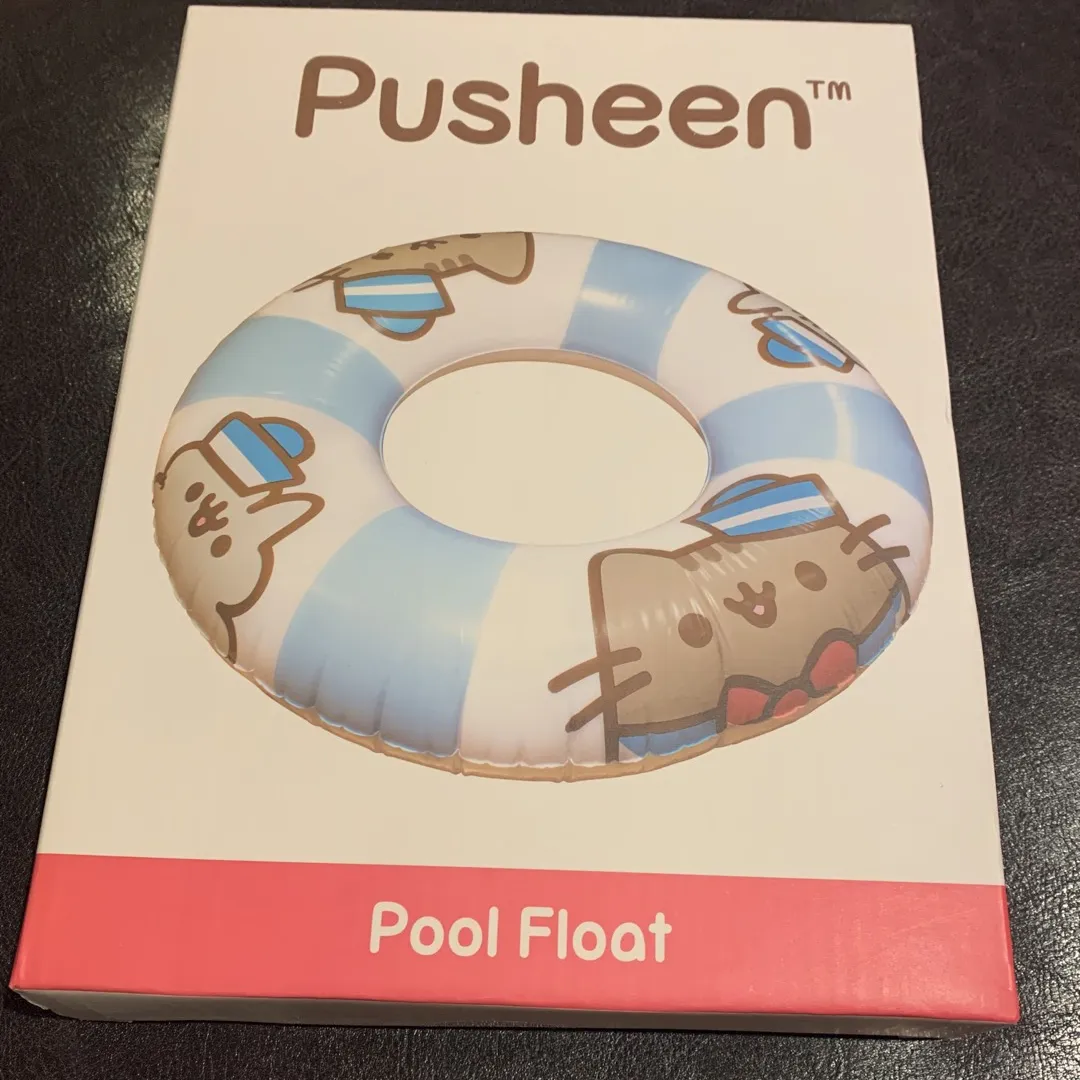 Pusheen pool float photo 1