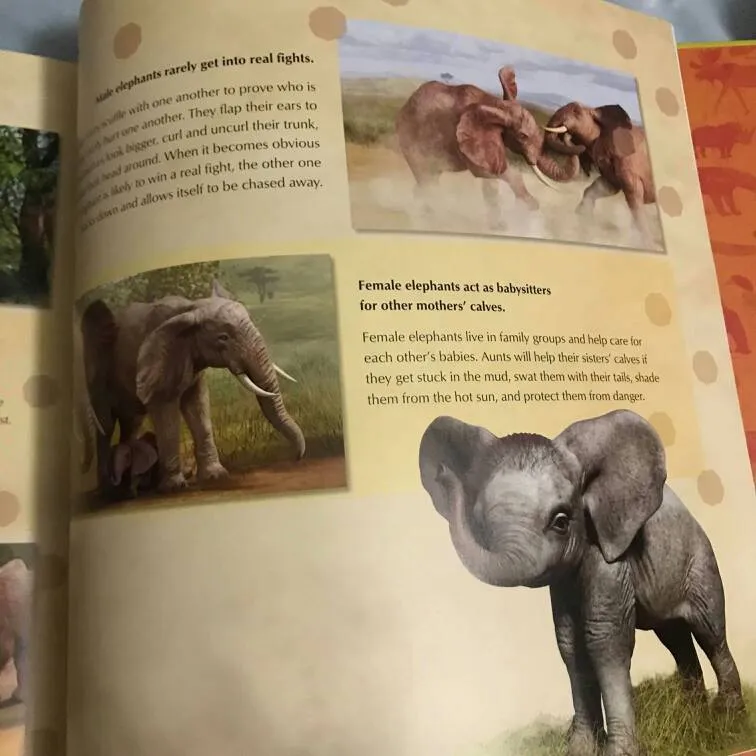 New Kids Book - My Life In the Wild Elephant photo 5