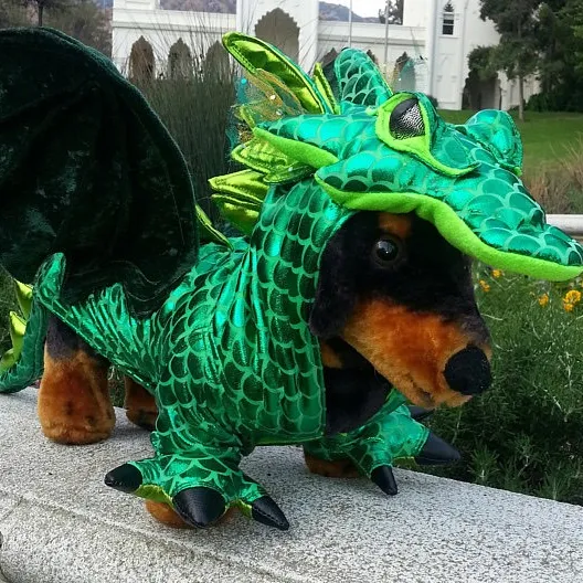 Dragon Costume For Dogs photo 3