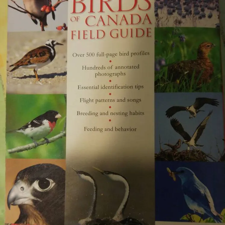 Birds Of Canada Book photo 4
