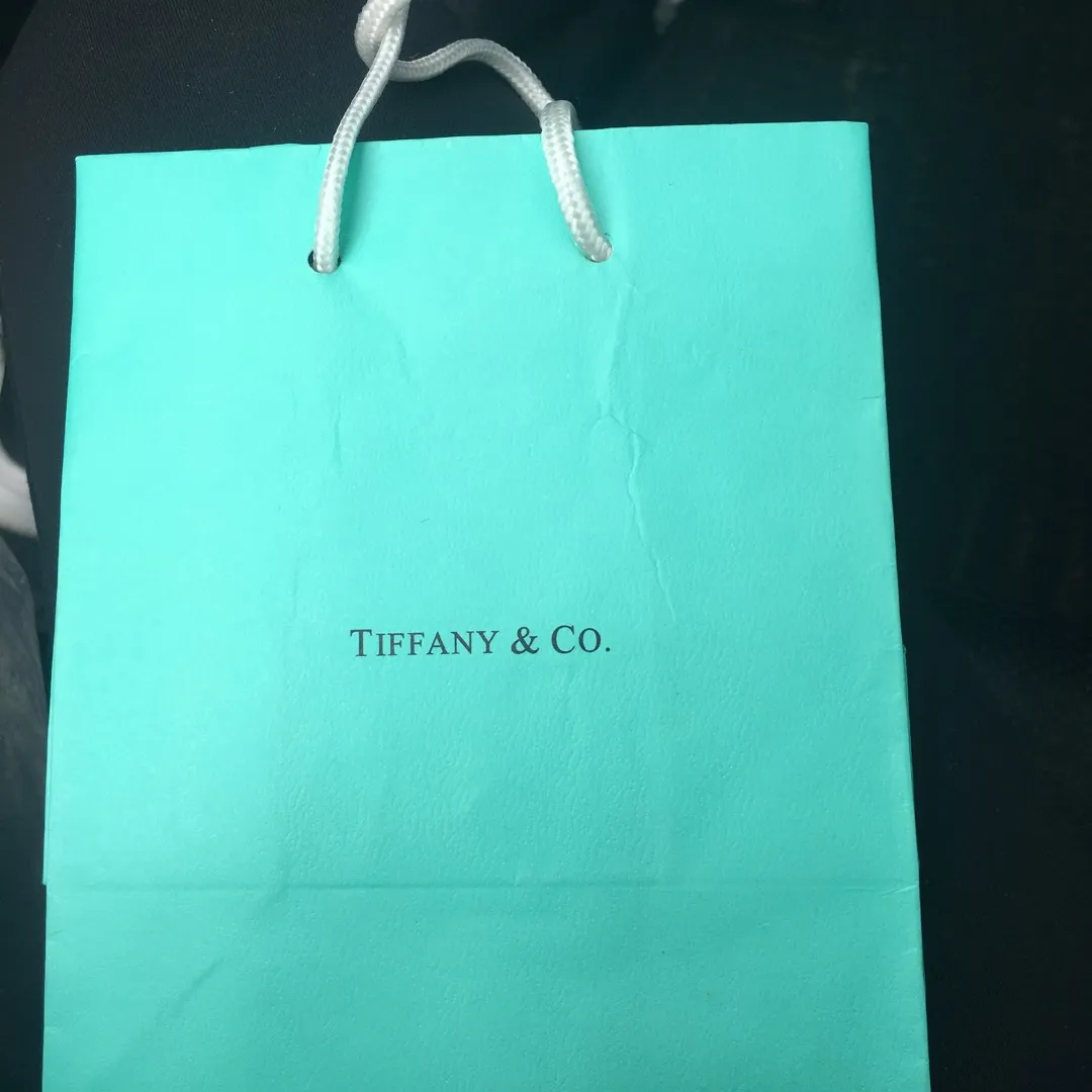 Tiffany Bag photo 1