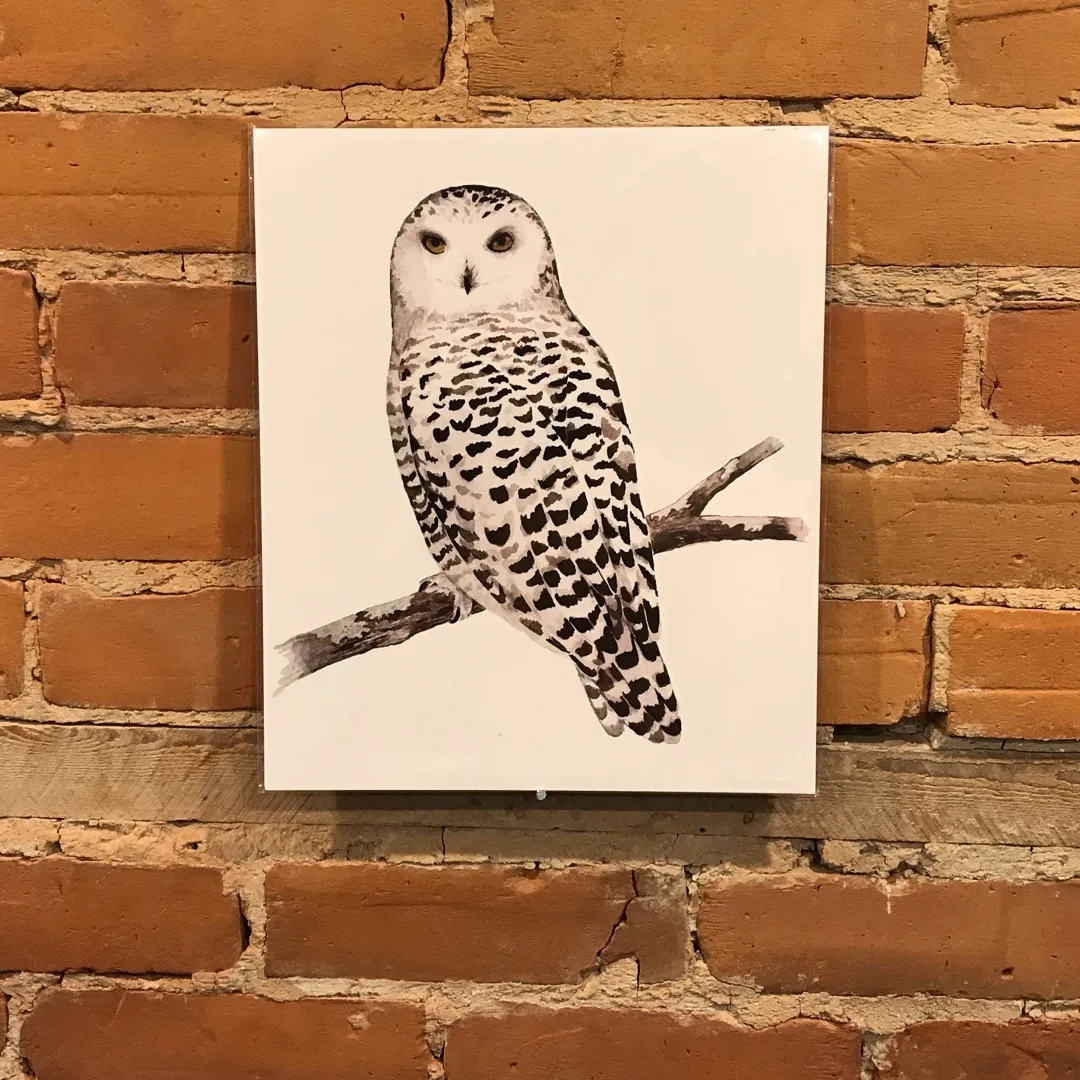 Owl Print photo 1