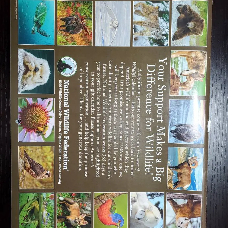 Free 2019 wildlife Calendar photo 3