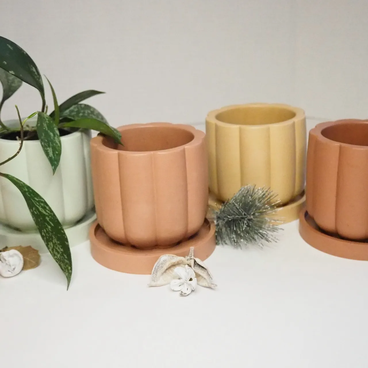 Handmade Plant Pots photo 4
