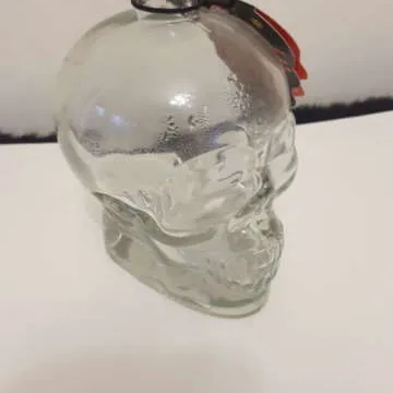 Glass Skull Thingy photo 1
