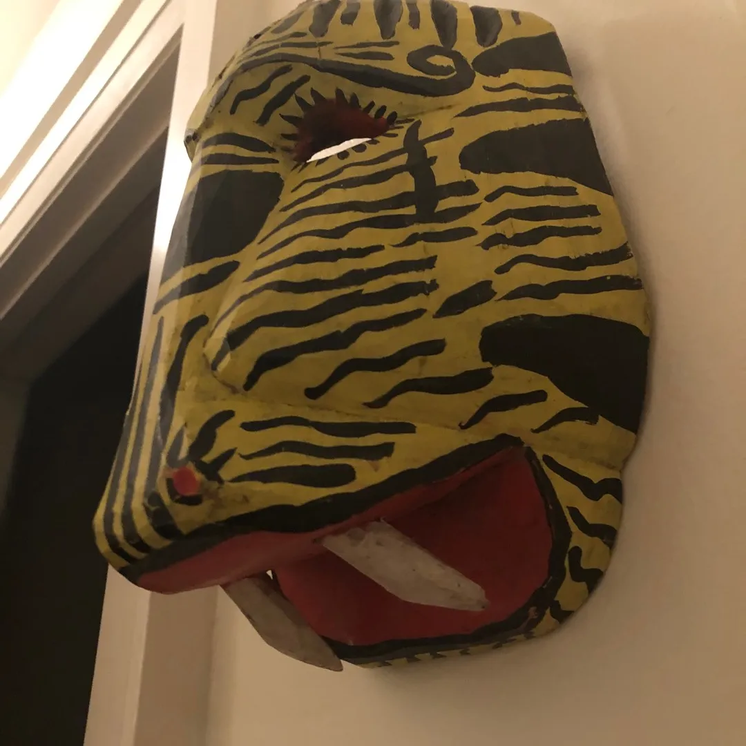 Jaguar Mask photo 1