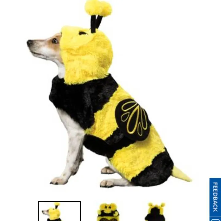 Dog Bee Costume Halloween photo 1