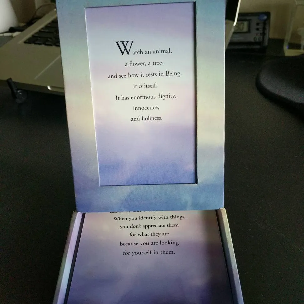 A Deck Of Eckhart Tolle's Cards photo 5