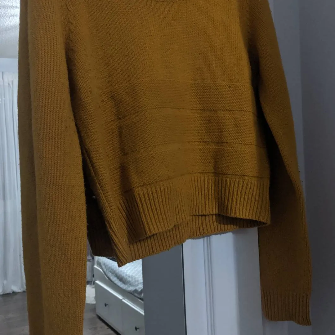 Forever 21 Mustard Sweater photo 1