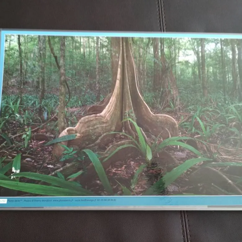 Table Mats From Guyane photo 1