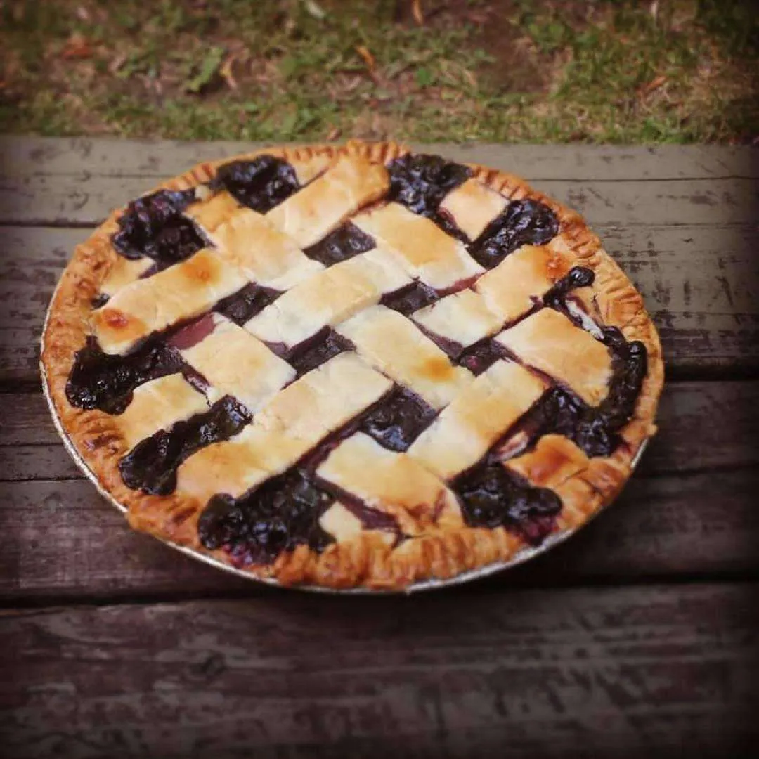 Blueberry Pie photo 1