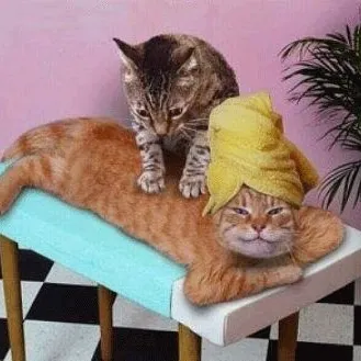 massages! photo 1