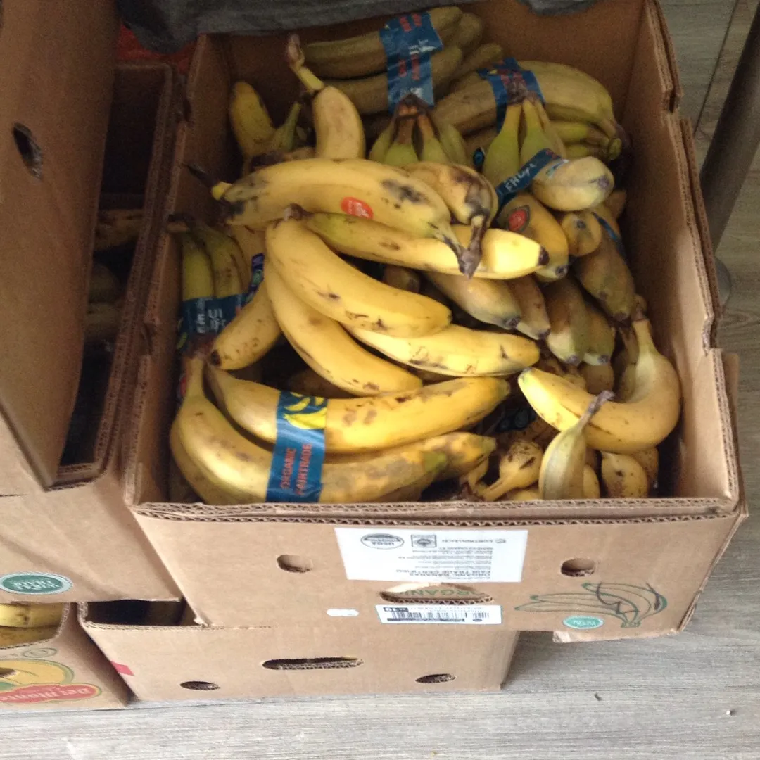 Bananas photo 1
