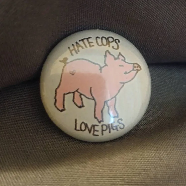 hate cops love pigs pin photo 1