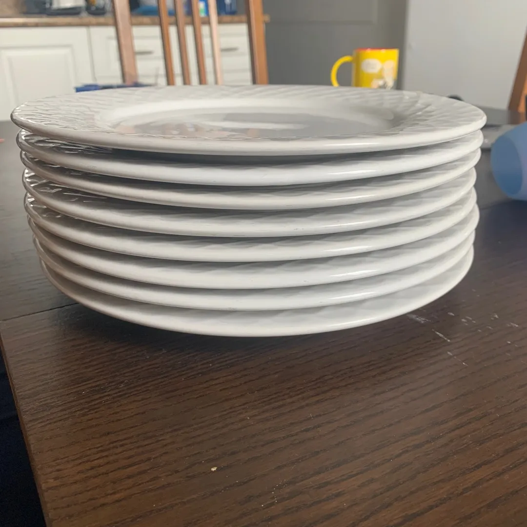 8 Large Plates photo 1