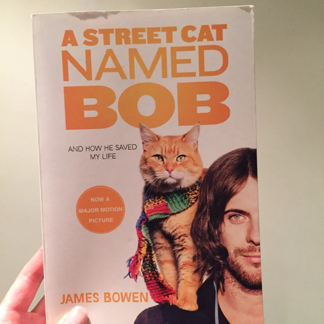 A Street Cat Named Bob photo 1