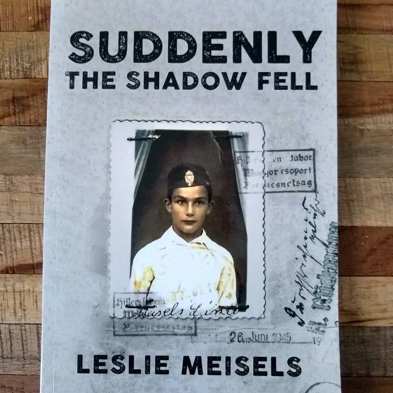 Suddenly The Shadow Fell / Leslie Meisels photo 1