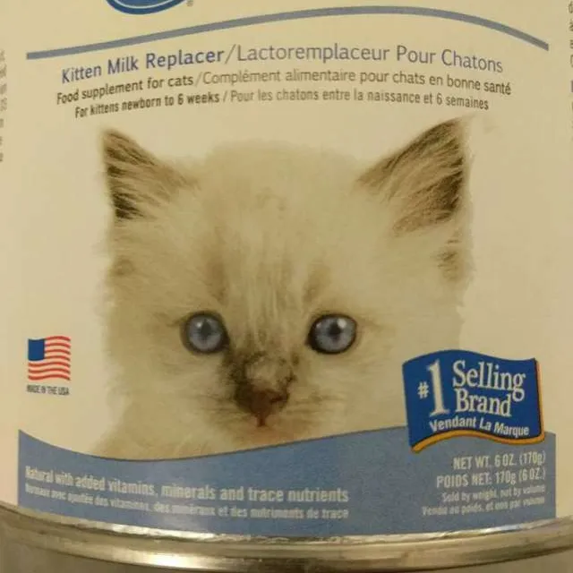 Powdered Kitten Milk photo 1