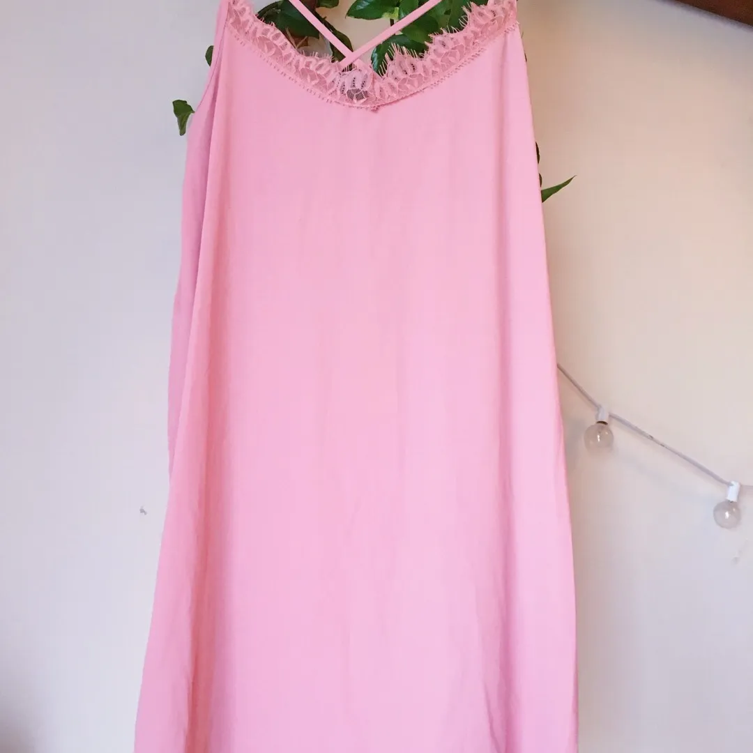 Pink Slip Dress Bnwot photo 1