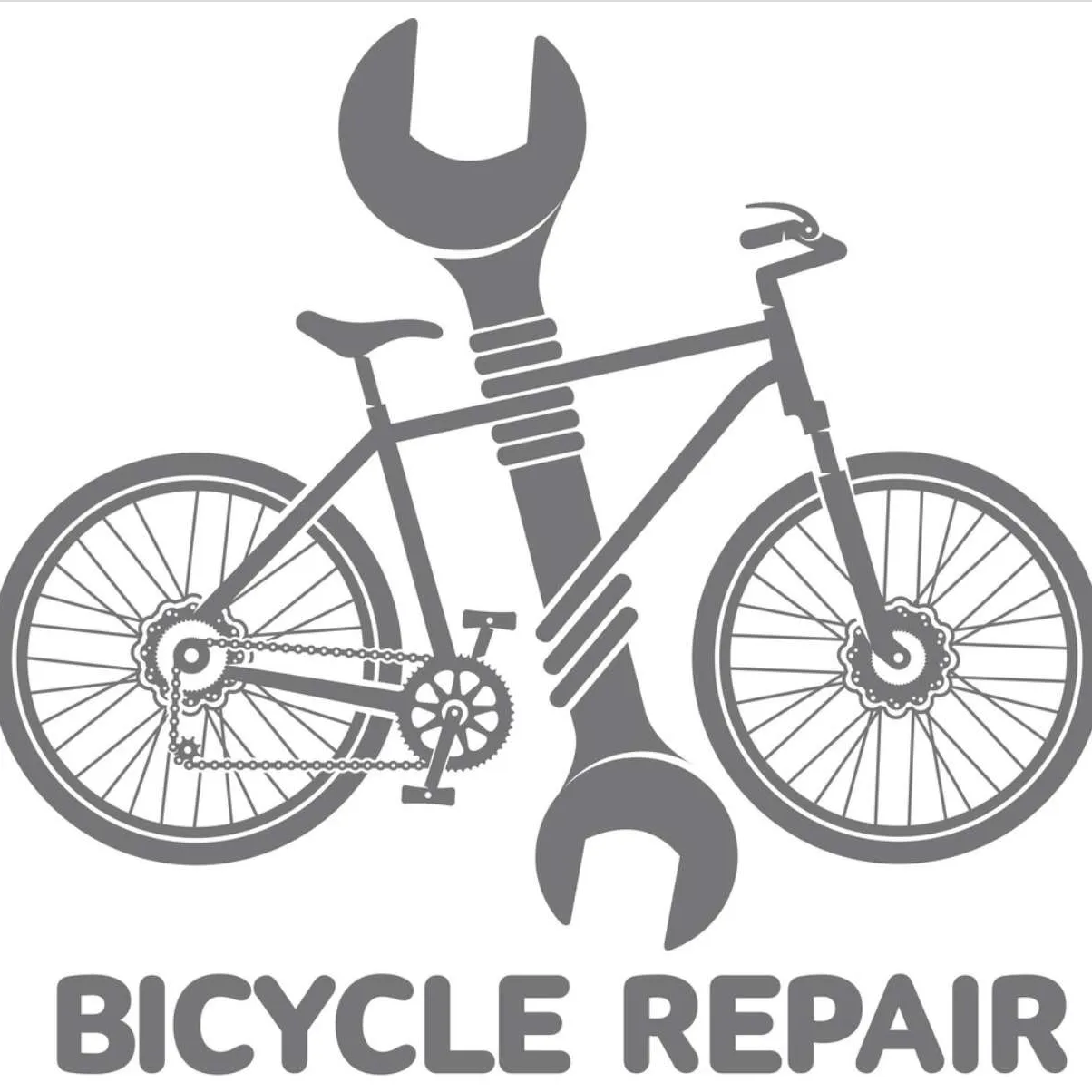 OFFER: Bike Repair photo 1