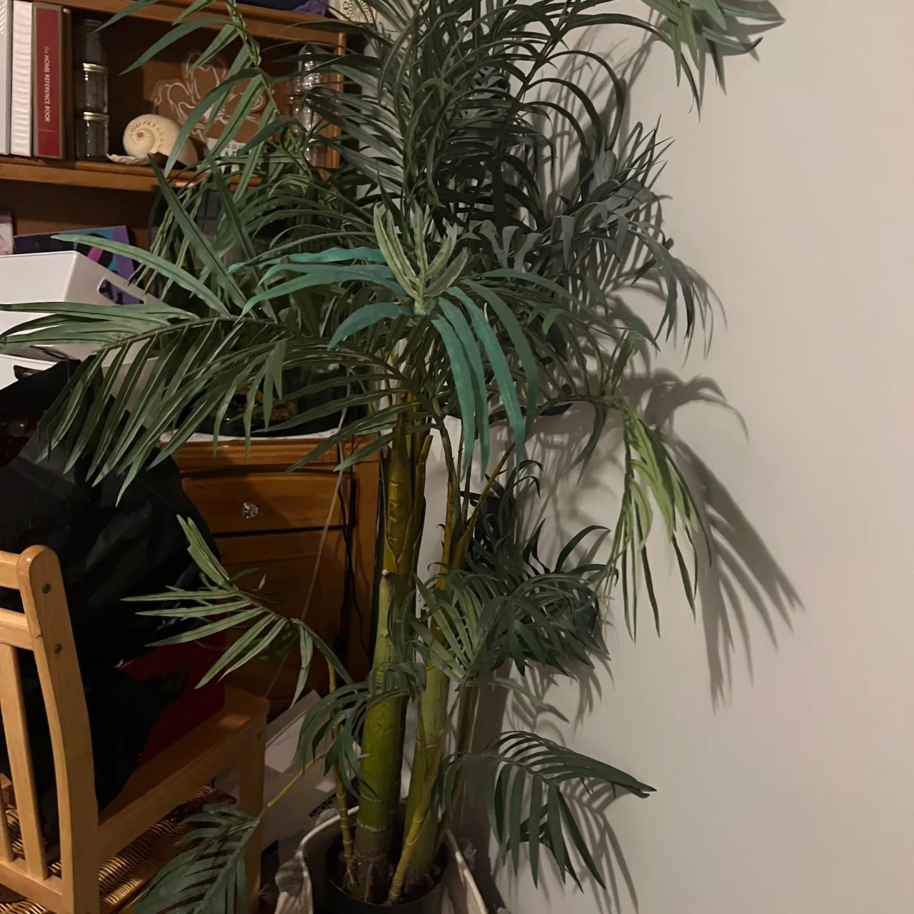 Fake palm tree 5”5 photo 1