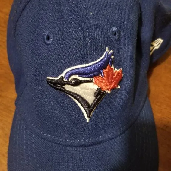 Toddler Blue Jay's hat photo 1