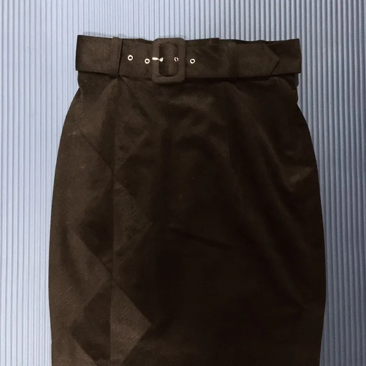 Velvet Skirt (Size 2) photo 1