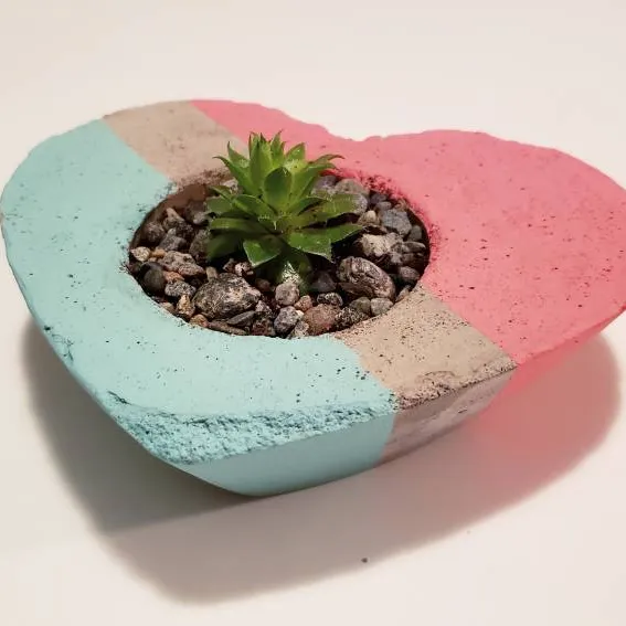 Heart Planter With Succulent photo 1