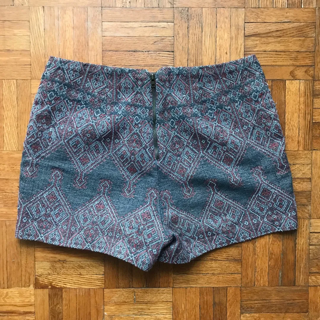 Embroidered Urban Outfitters Shorts photo 3