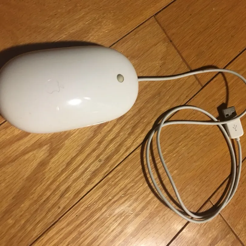 Apple mouse photo 1