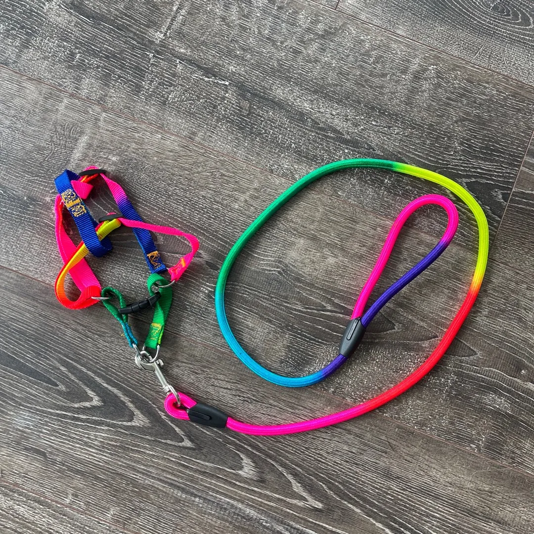 Brand New Rainbow Dog Leash And Halter photo 3