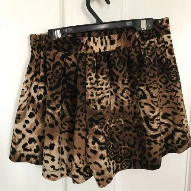 High Waist Leopard Print Shorts Sz 4 photo 1