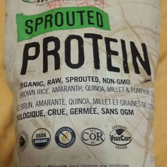 Iron Vegan Protein Powder photo 1
